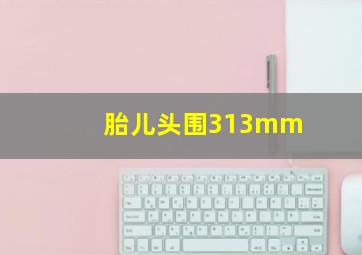 胎儿头围313mm