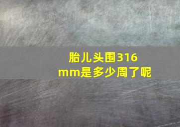 胎儿头围316mm是多少周了呢