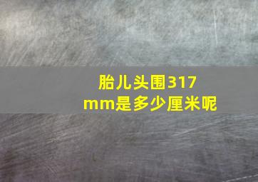 胎儿头围317mm是多少厘米呢