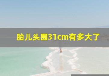 胎儿头围31cm有多大了