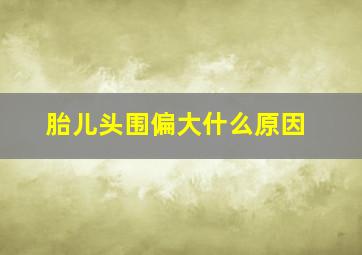 胎儿头围偏大什么原因