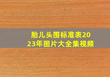 胎儿头围标准表2023年图片大全集视频