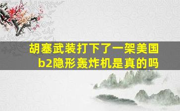 胡塞武装打下了一架美国b2隐形轰炸机是真的吗