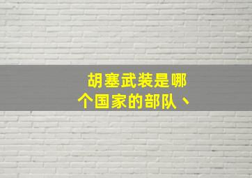 胡塞武装是哪个国家的部队丶