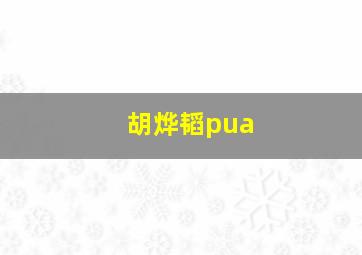 胡烨韬pua