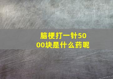 脑梗打一针5000块是什么药呢