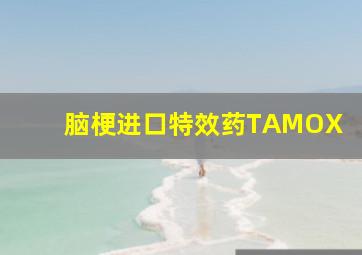 脑梗进口特效药TAMOX