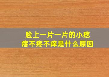 脸上一片一片的小疙瘩不疼不痒是什么原因