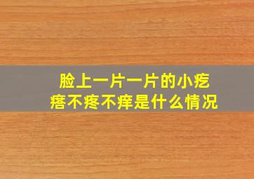 脸上一片一片的小疙瘩不疼不痒是什么情况