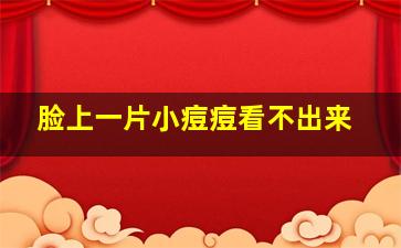 脸上一片小痘痘看不出来