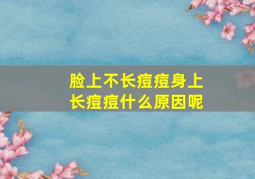 脸上不长痘痘身上长痘痘什么原因呢