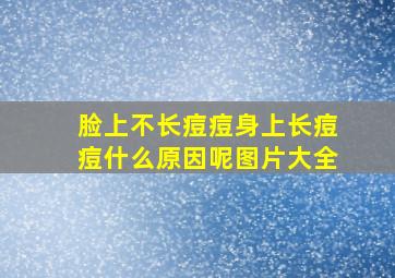 脸上不长痘痘身上长痘痘什么原因呢图片大全