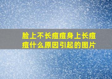 脸上不长痘痘身上长痘痘什么原因引起的图片