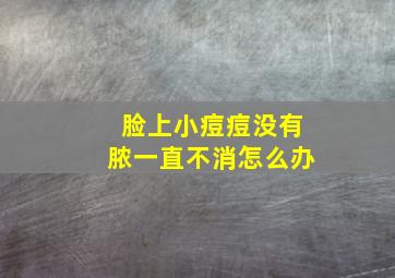 脸上小痘痘没有脓一直不消怎么办