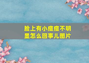 脸上有小痘痘不明显怎么回事儿图片