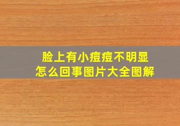 脸上有小痘痘不明显怎么回事图片大全图解