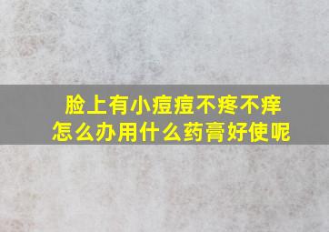 脸上有小痘痘不疼不痒怎么办用什么药膏好使呢