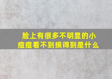 脸上有很多不明显的小痘痘看不到摸得到是什么