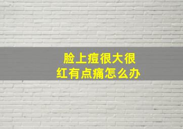 脸上痘很大很红有点痛怎么办