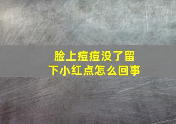 脸上痘痘没了留下小红点怎么回事