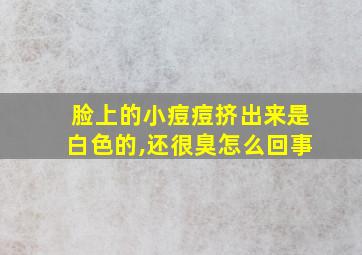 脸上的小痘痘挤出来是白色的,还很臭怎么回事