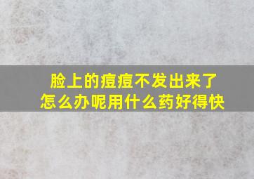 脸上的痘痘不发出来了怎么办呢用什么药好得快