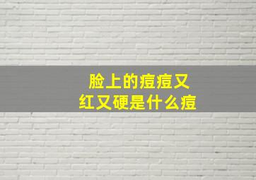 脸上的痘痘又红又硬是什么痘