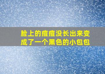 脸上的痘痘没长出来变成了一个黑色的小包包