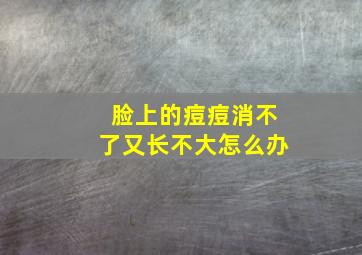 脸上的痘痘消不了又长不大怎么办