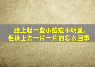 脸上起一些小痘痘不明显,但摸上去一片一片的怎么回事