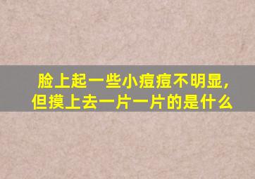 脸上起一些小痘痘不明显,但摸上去一片一片的是什么