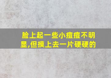 脸上起一些小痘痘不明显,但摸上去一片硬硬的