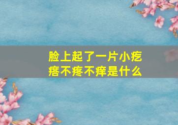 脸上起了一片小疙瘩不疼不痒是什么