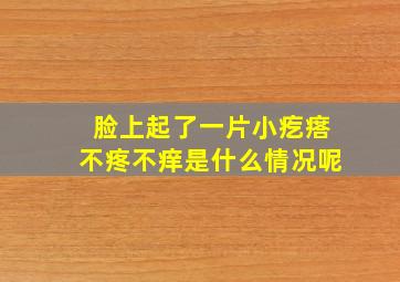 脸上起了一片小疙瘩不疼不痒是什么情况呢