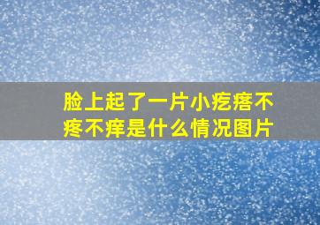 脸上起了一片小疙瘩不疼不痒是什么情况图片