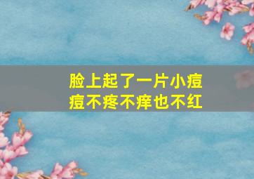 脸上起了一片小痘痘不疼不痒也不红