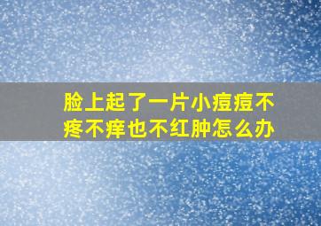 脸上起了一片小痘痘不疼不痒也不红肿怎么办