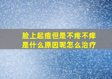 脸上起痘但是不疼不痒是什么原因呢怎么治疗