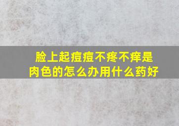 脸上起痘痘不疼不痒是肉色的怎么办用什么药好