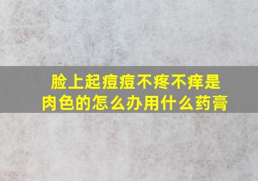 脸上起痘痘不疼不痒是肉色的怎么办用什么药膏