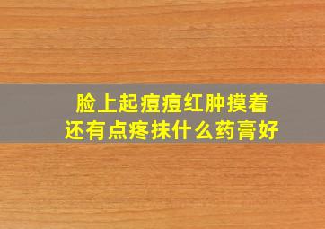 脸上起痘痘红肿摸着还有点疼抹什么药膏好