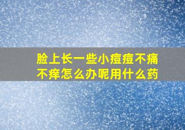 脸上长一些小痘痘不痛不痒怎么办呢用什么药