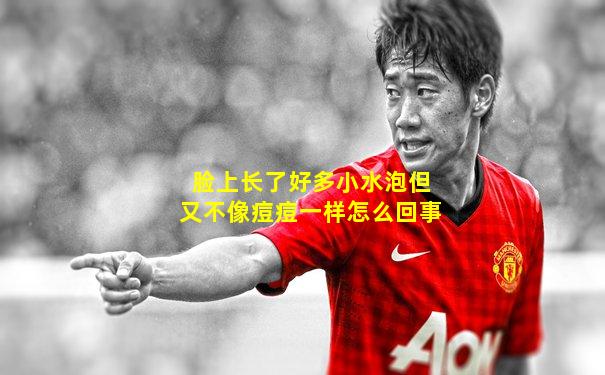 脸上长了好多小水泡但又不像痘痘一样怎么回事