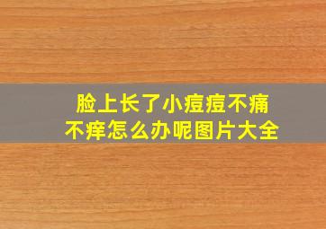 脸上长了小痘痘不痛不痒怎么办呢图片大全