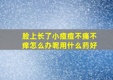 脸上长了小痘痘不痛不痒怎么办呢用什么药好