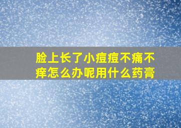 脸上长了小痘痘不痛不痒怎么办呢用什么药膏