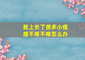 脸上长了很多小痘痘不疼不痒怎么办