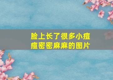 脸上长了很多小痘痘密密麻麻的图片