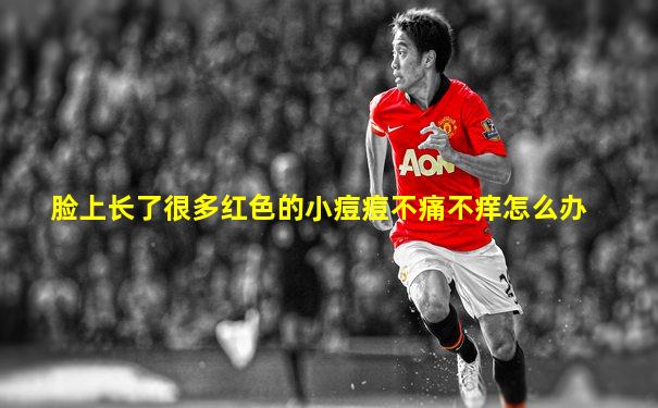 脸上长了很多红色的小痘痘不痛不痒怎么办