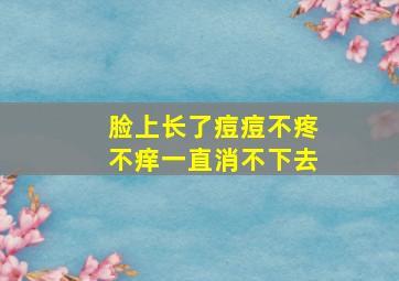 脸上长了痘痘不疼不痒一直消不下去